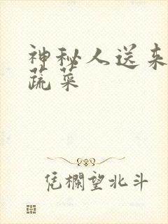 神秘人送来千斤蔬菜