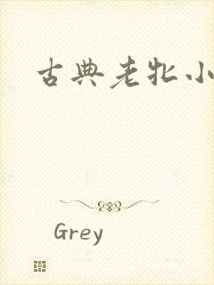 古典老牝小说