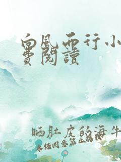 向风而行小说免费阅读