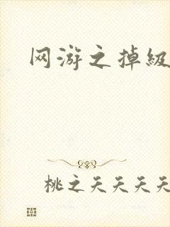 网游之掉级专家