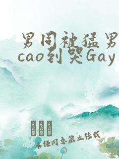 男同被猛男房东cao到哭Gay