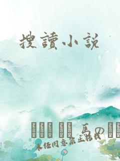 搜读小说