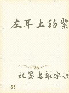 左耳上的紫水晶