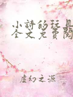 小诗的玩具日记全文免费阅读