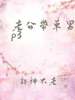 老公带单男回来p3