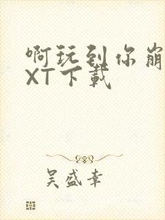 啊玩到你崩溃TXT下载