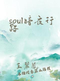soul暗夜行路