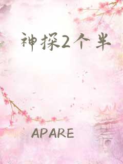 神探2个半