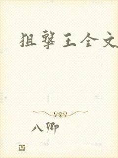 狙击王全文阅读