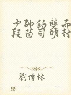 少帅的双面宠妻段茵司明封免费