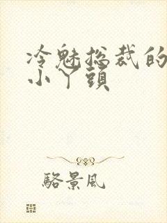 冷魅总裁的纯纯小丫头