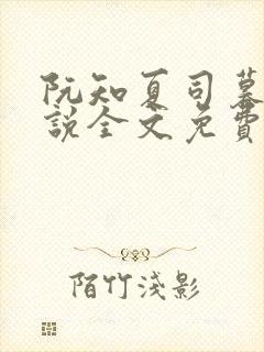 阮知夏司暮寒小说全文免费