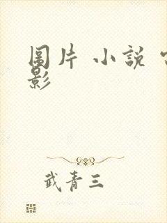 图片 小说 电影