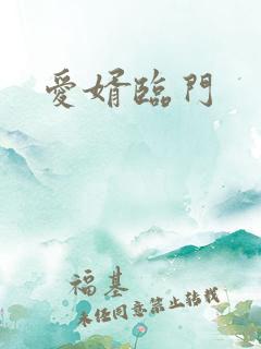 爱婿临门