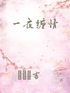 一夜缠情