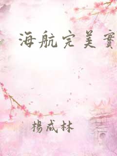 海航完美实习生