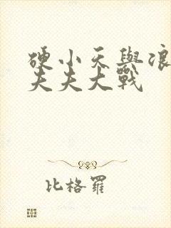 硬小天与浪小辉夫夫大战