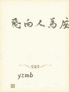 飞向人马座