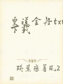 皇道金丹txt下载