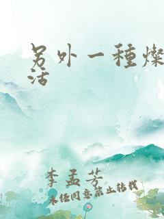 另外一种灿烂生活