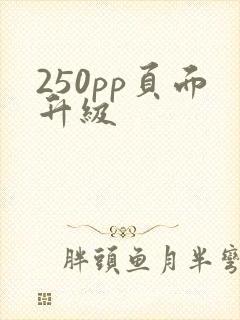 250pp页面升级