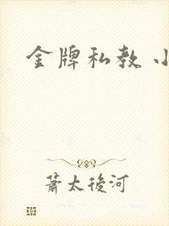 金牌私教 小说