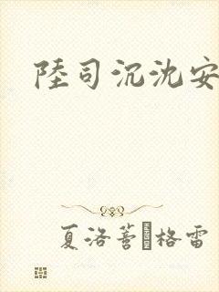 陆司沉沈安