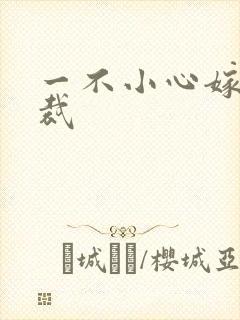 一不小心嫁给总裁