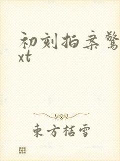 初刻拍案惊奇txt