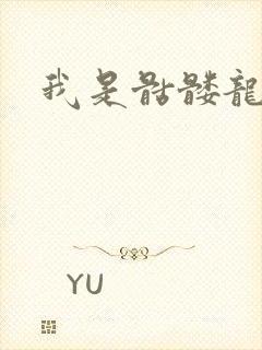 我是骷髅龙骑兵