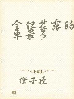 金银花露的哪个车最多