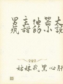 男主他器大活好疯甜的小说