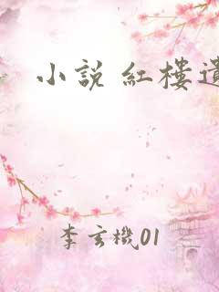 小说 红楼遗秘