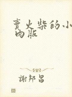 卖火柴的小男孩 肉版