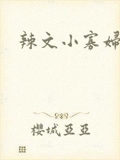 辣文小寡妇