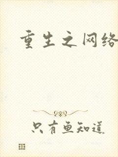 重生之网络大亨