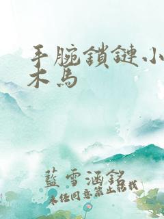 手腕锁链小黑屋木马