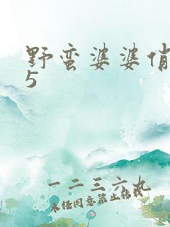 野蛮婆婆俏媳妇5