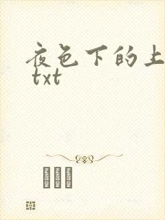 夜色下的上海滩 txt