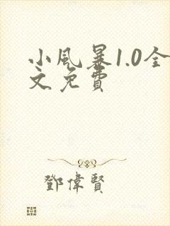 小风暴1.0全文免费
