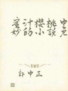 蜜汁樱桃中林妙妙的小说免费阅读