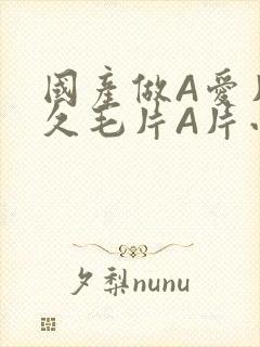 国产做A爱片久久毛片A片小说