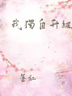 我独自升级小说