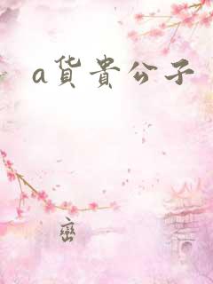 a货贵公子