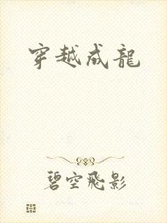 穿越成龙