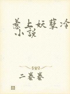 惹上妖孽冷殿下 小说