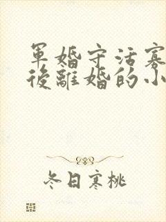 军婚守活寡重生后离婚的小说