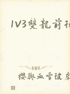 1V3双龙前后