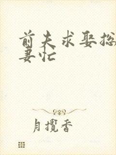 前夫求娶总裁追妻忙