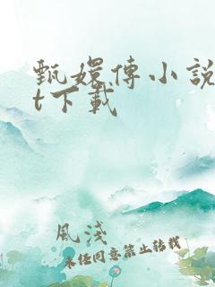 甄嬛传小说txt下载